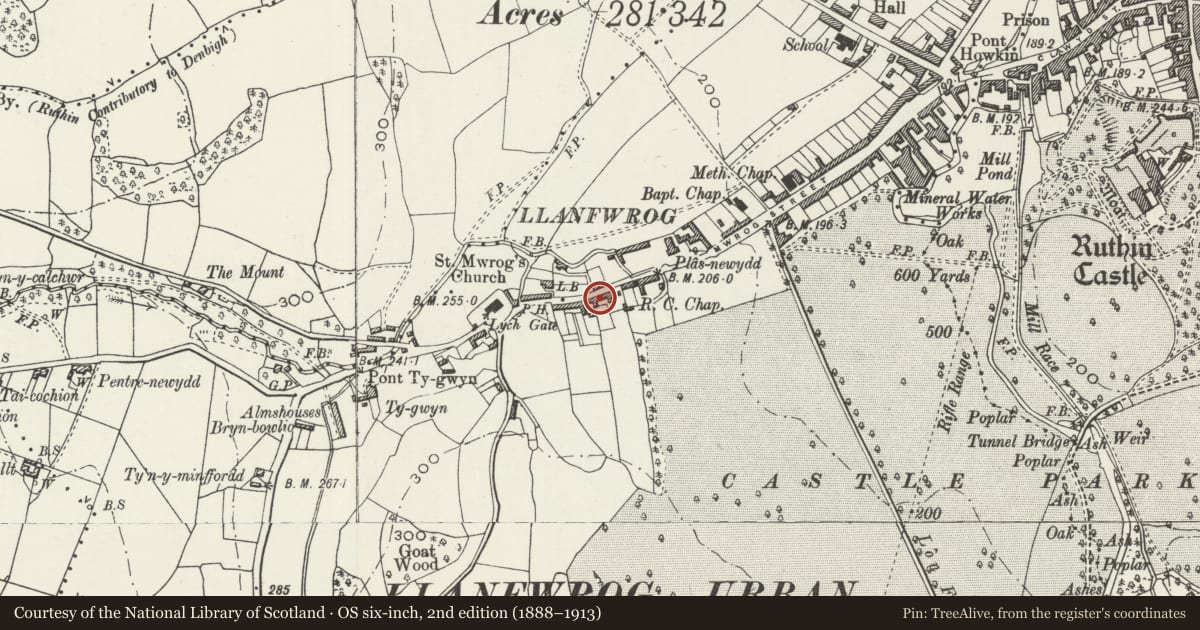 Ordnance Survey six-inch map, 2nd edition (1888–1913) covering the location of Nannau, Ruthin, Denbighshire, with a pin at the register's coordinates