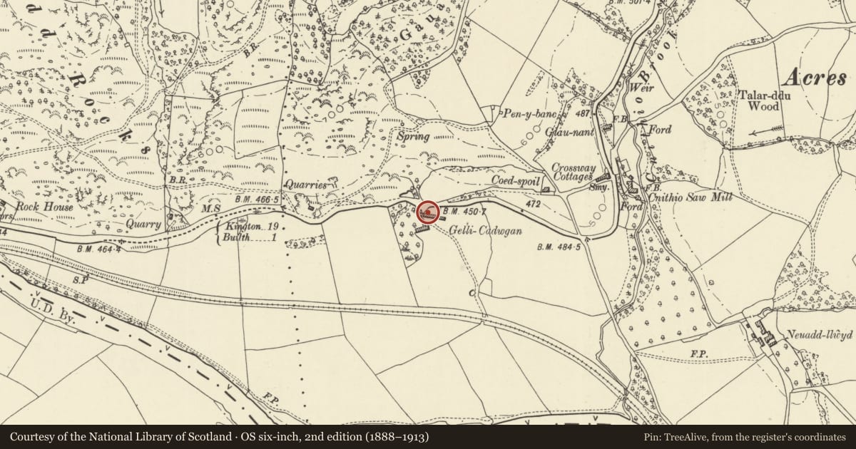 Ordnance Survey six-inch map, 2nd edition (1888–1913) covering the location of Old house at Gelli Cadwgan Farm, Llanelwedd, Powys, with a pin at the register's coordinates