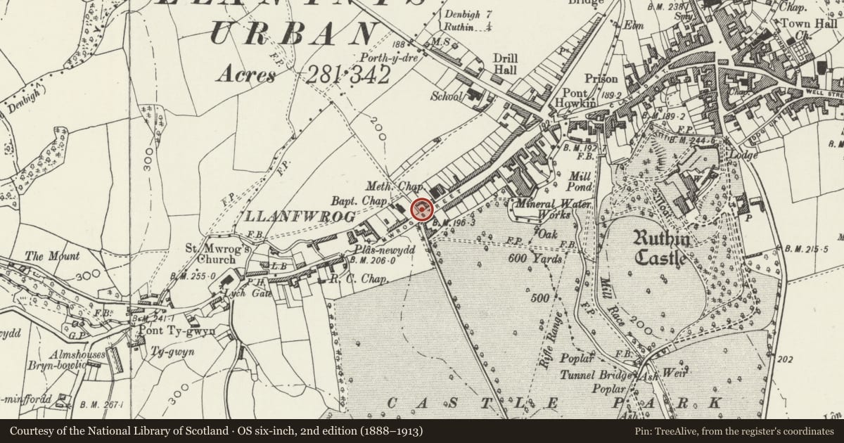 Ordnance Survey six-inch map, 2nd edition (1888–1913) covering the location of Garden Wall to S of Glyndwr, Ruthin, Denbighshire, with a pin at the register's coordinates