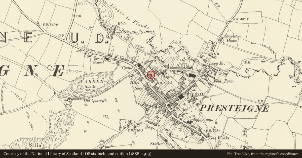 Ordnance Survey six-inch map, 2nd edition (1888–1913) covering the location of St. David's House, Presteigne, Powys, with a pin at the register's coordinates
