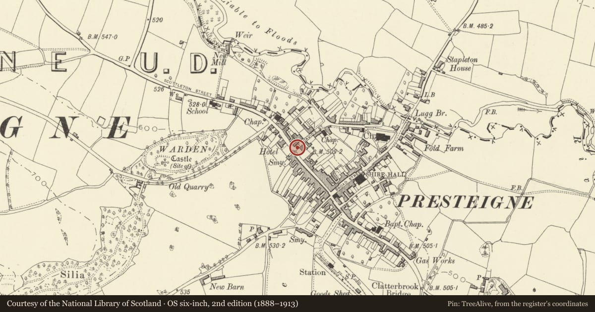 Ordnance Survey six-inch map, 2nd edition (1888–1913) covering the location of Garden Walls at Warden Court, Presteigne, Powys, with a pin at the register's coordinates