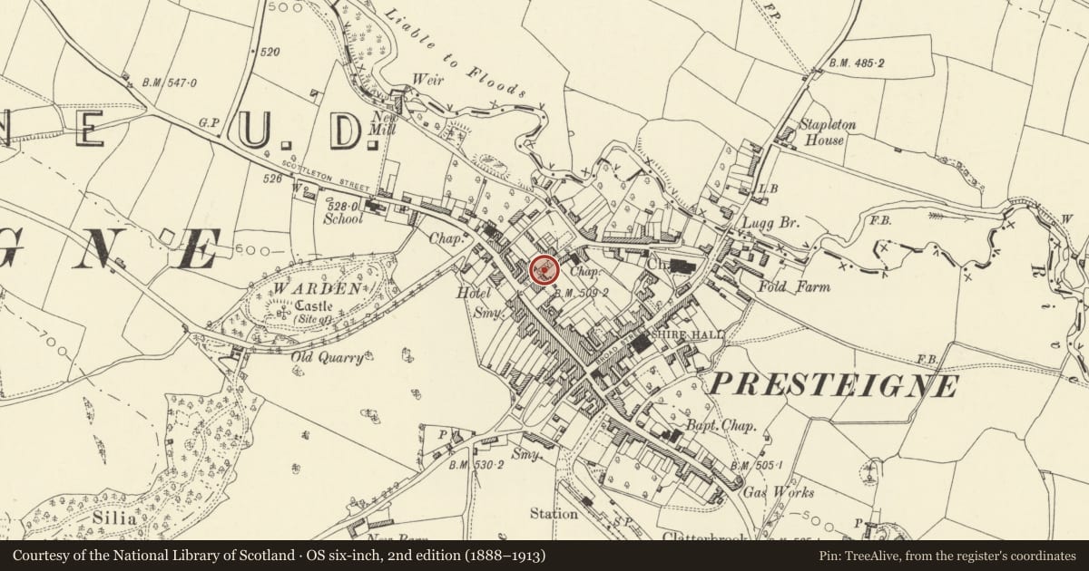 Ordnance Survey six-inch map, 2nd edition (1888–1913) covering the location of Outbuilding and Boundary Wall to NE of Warden Court, Presteigne, Powys, with a pin at the register's coordinates