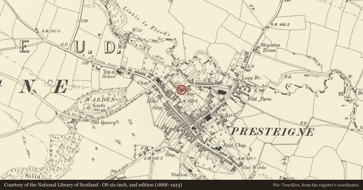 Ordnance Survey six-inch map, 2nd edition (1888–1913) covering the location of Greystones, Presteigne, Powys, with a pin at the register's coordinates