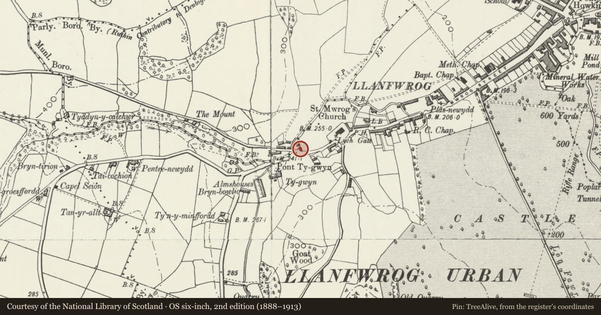 Ordnance Survey six-inch map, 2nd edition (1888–1913) covering the location of Brynffynon, Ruthin, Denbighshire, with a pin at the register's coordinates