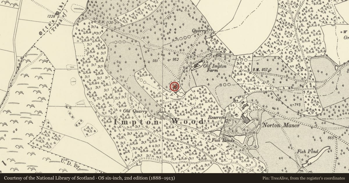 Ordnance Survey six-inch map, 2nd edition (1888–1913) covering the location of Long Barn and attached Byre Range at Old Impton Farm, Presteigne, Powys, with a pin at the register's coordinates