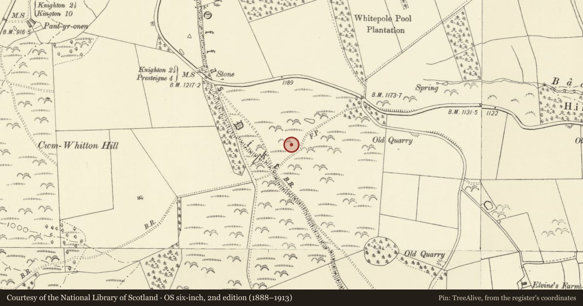 Ordnance Survey six-inch map, 2nd edition (1888–1913) covering the location of Price Monument, Presteigne, Powys, with a pin at the register's coordinates