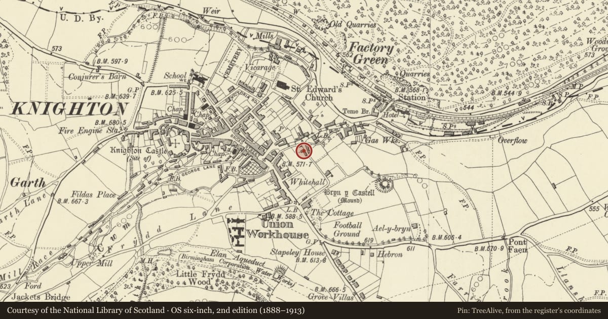 Ordnance Survey six-inch map, 2nd edition (1888–1913) covering the location of Streamford, Knighton, Powys, with a pin at the register's coordinates