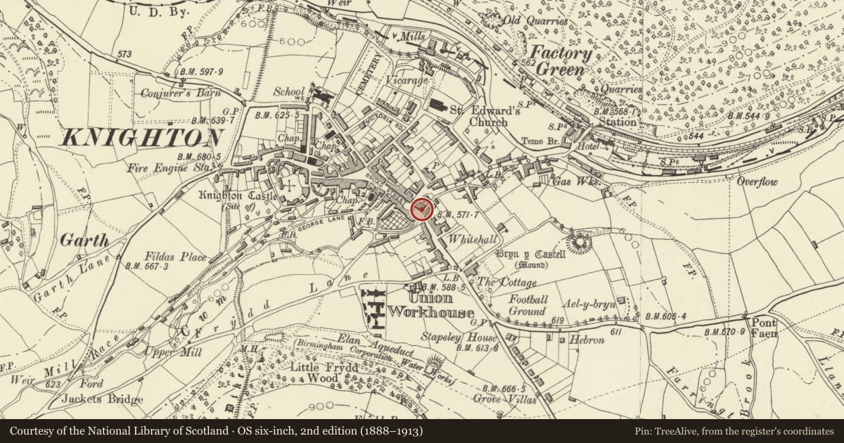 Ordnance Survey six-inch map, 2nd edition (1888–1913) covering the location of Railings, Knighton, Powys, with a pin at the register's coordinates