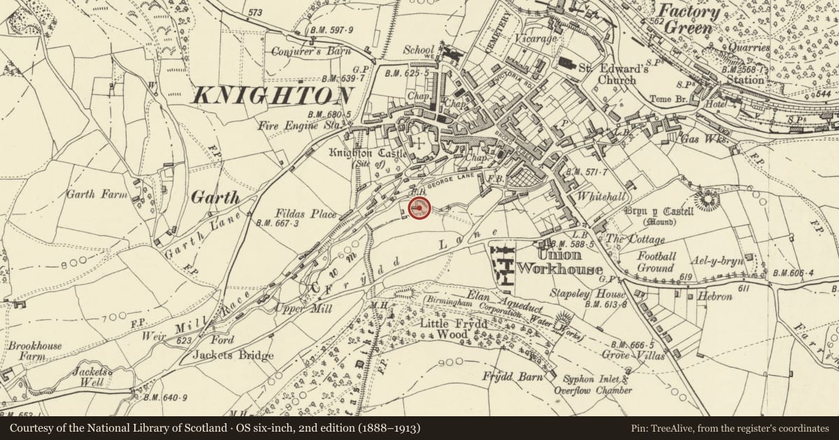Ordnance Survey six-inch map, 2nd edition (1888–1913) covering the location of The Conifers, Knighton, Powys, with a pin at the register's coordinates