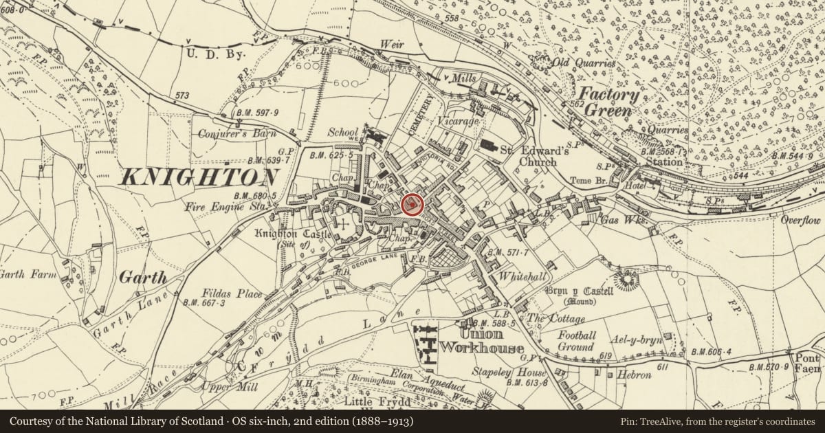 Ordnance Survey six-inch map, 2nd edition (1888–1913) covering the location of Islwyn Watkins Antiques including premises of W.Machin, Butcher, West Street, Knighton, Powys, with a pin at the register's coordinates