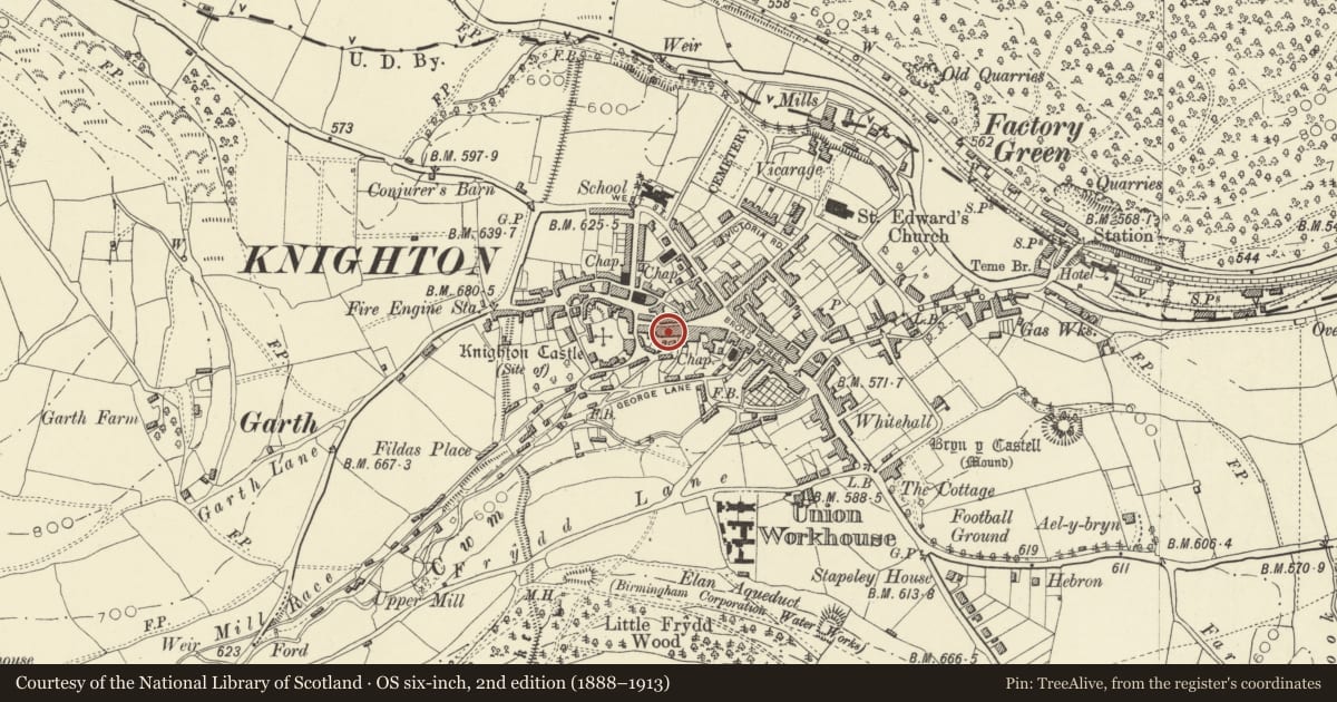 Ordnance Survey six-inch map, 2nd edition (1888–1913) covering the location of Narrows Grill, Knighton, Powys, with a pin at the register's coordinates