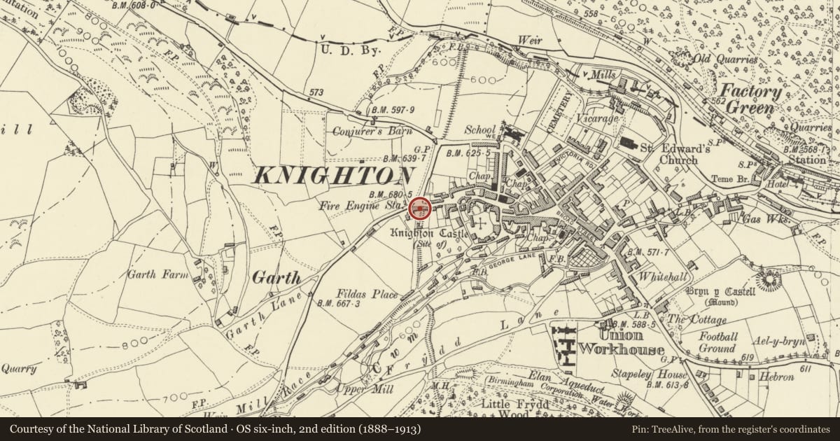 Ordnance Survey six-inch map, 2nd edition (1888–1913) covering the location of 30 Market Street, Knighton, Powys, with a pin at the register's coordinates