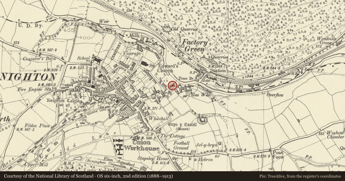 Ordnance Survey six-inch map, 2nd edition (1888–1913) covering the location of Temeside, Knighton, Powys, with a pin at the register's coordinates