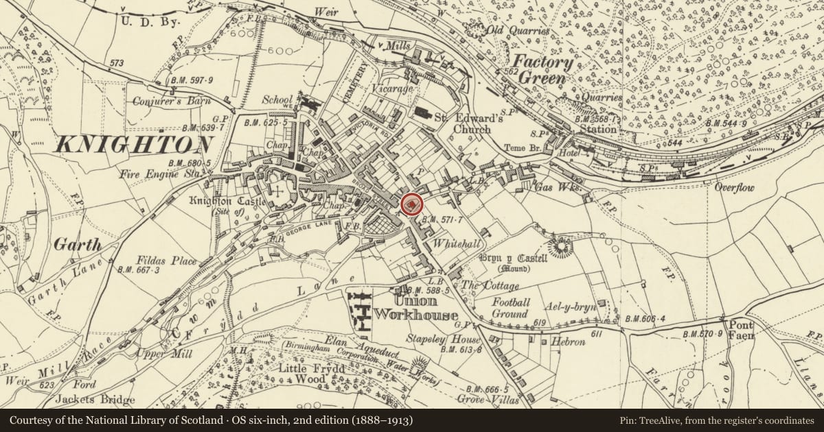 Ordnance Survey six-inch map, 2nd edition (1888–1913) covering the location of Wylcwm House (Whittingham, Riddel and Co., Chartered Accountants), Knighton, Powys, with a pin at the register's coordinates