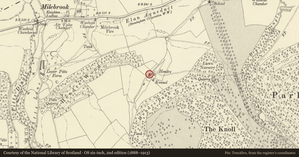 Ordnance Survey six-inch map, 2nd edition (1888–1913) covering the location of The Hendre, Knighton, Powys, with a pin at the register's coordinates