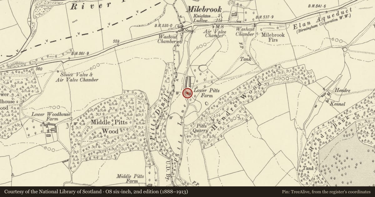 Ordnance Survey six-inch map, 2nd edition (1888–1913) covering the location of Lower Pitts Farmhouse, Knighton, Powys, with a pin at the register's coordinates