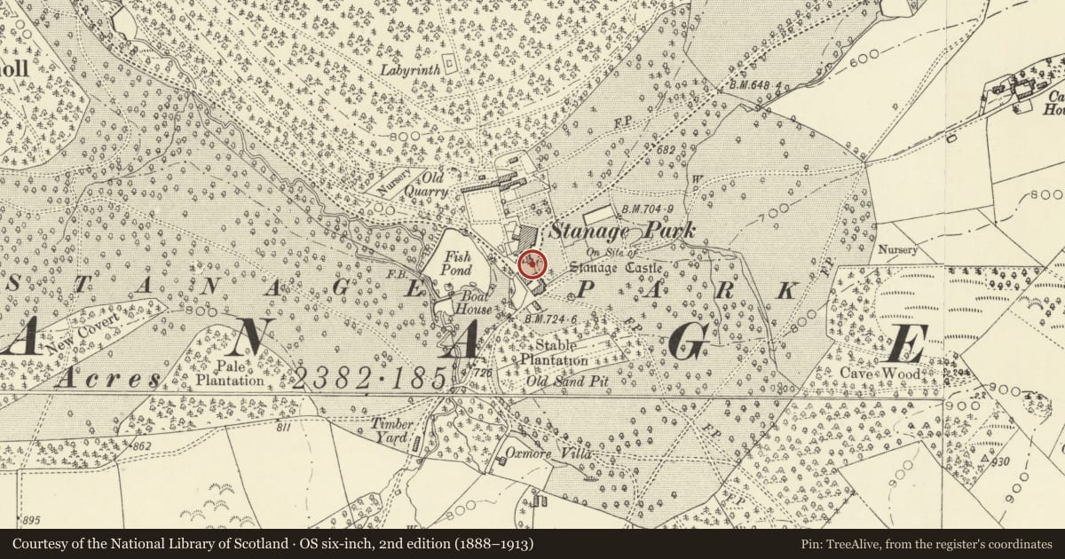 Ordnance Survey six-inch map, 2nd edition (1888–1913) covering the location of Inner Gateway and Screen Walls to Stable Courtyard at Stanage Park, Knighton, Powys, with a pin at the register's coordinates