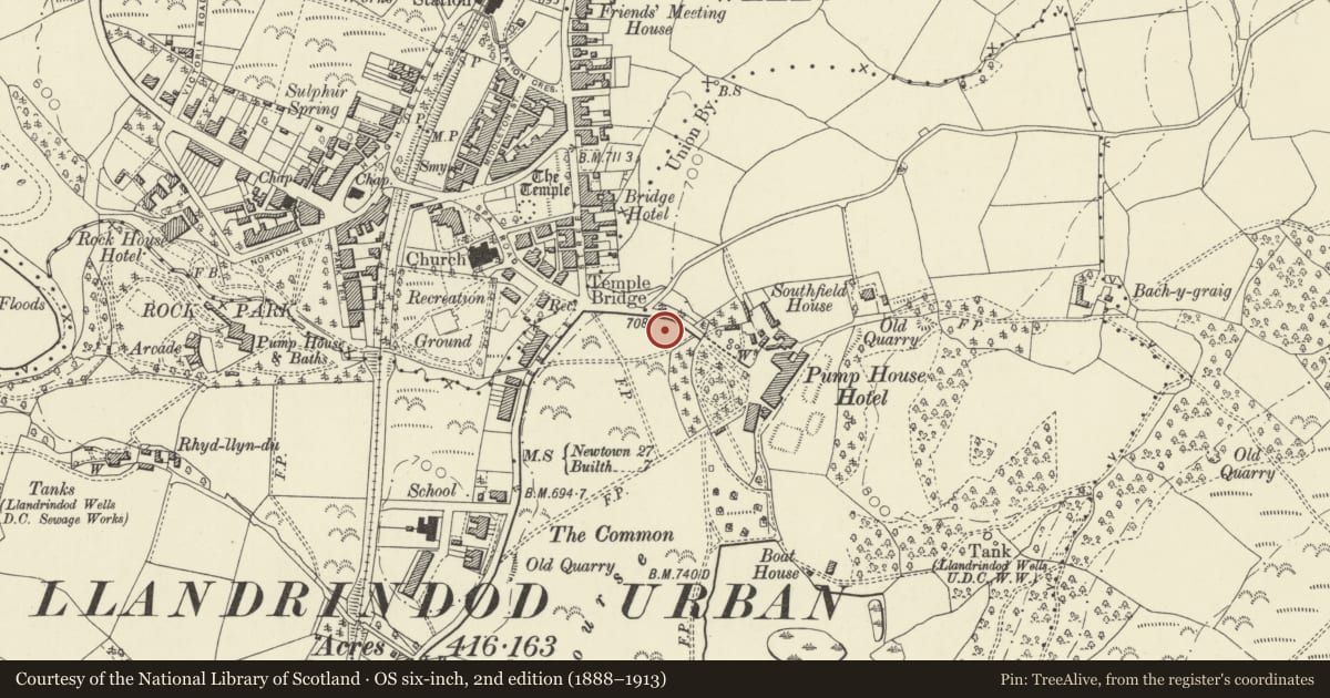 Ordnance Survey six-inch map, 2nd edition (1888–1913) covering the location of Mangalore, Llandrindod Wells, Powys, with a pin at the register's coordinates