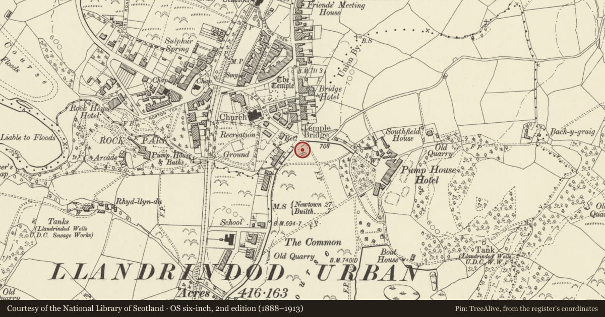 Ordnance Survey six-inch map, 2nd edition (1888–1913) covering the location of The Automobile Palace, Llandrindod Wells, Powys, with a pin at the register's coordinates