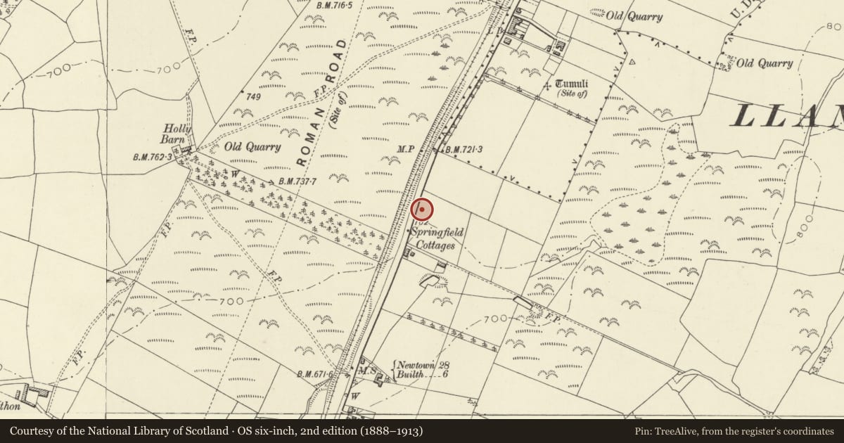 Ordnance Survey six-inch map, 2nd edition (1888–1913) covering the location of Tyn-y-Rhos, Llandrindod Wells, Powys, with a pin at the register's coordinates