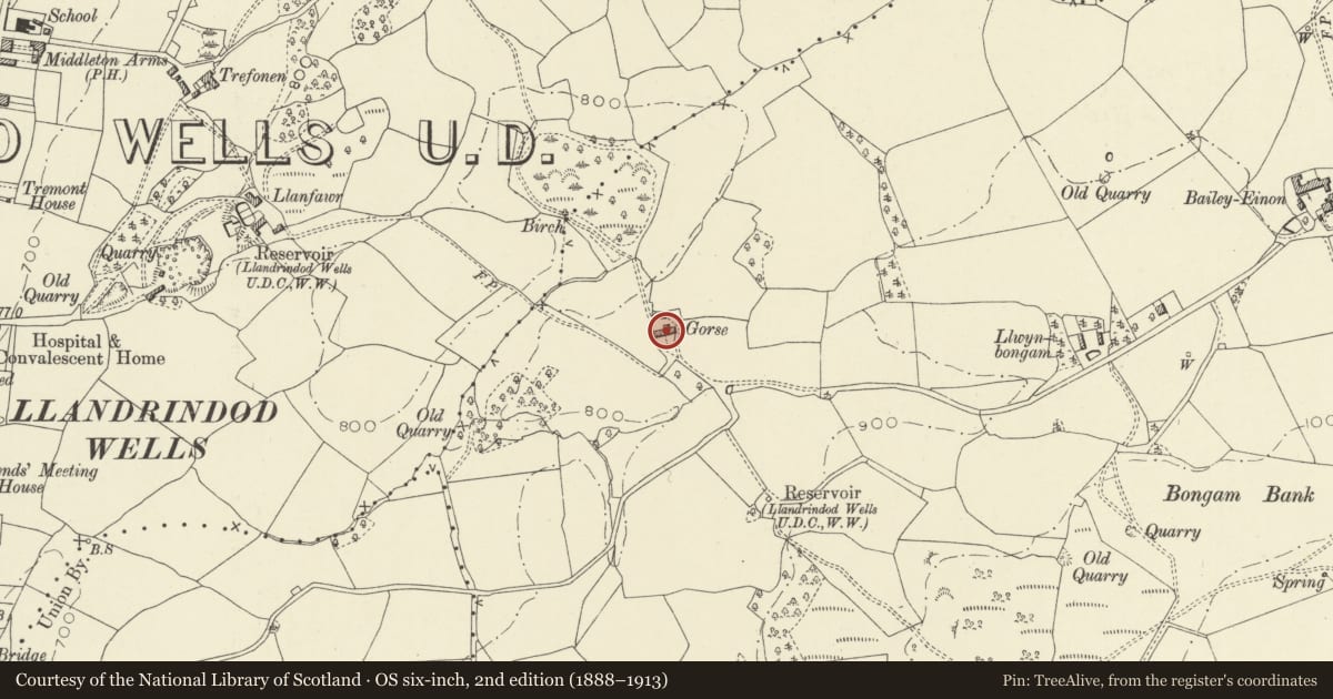 Ordnance Survey six-inch map, 2nd edition (1888–1913) covering the location of Gorse Farmhouse, Llandrindod Wells, Powys, with a pin at the register's coordinates