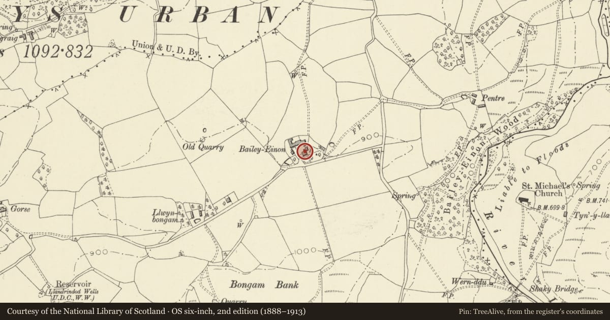 Ordnance Survey six-inch map, 2nd edition (1888–1913) covering the location of Bailey Einon Farmhouse, Llandrindod Wells, Powys, with a pin at the register's coordinates