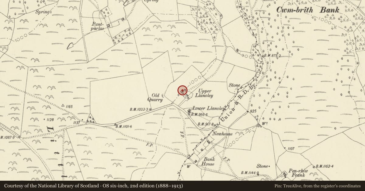 Ordnance Survey six-inch map, 2nd edition (1888–1913) covering the location of Upper Llanoley, Llandrindod Wells, Powys, with a pin at the register's coordinates