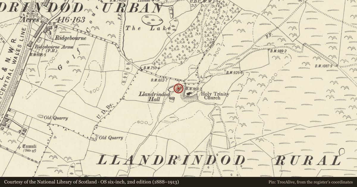 Ordnance Survey six-inch map, 2nd edition (1888–1913) covering the location of Long Barn Range at Llandrindod Hall, Llandrindod Wells, Powys, with a pin at the register's coordinates