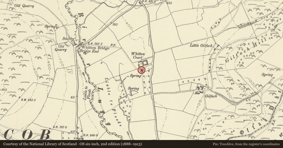 Ordnance Survey six-inch map, 2nd edition (1888–1913) covering the location of Whitton Court, Powys, with a pin at the register's coordinates