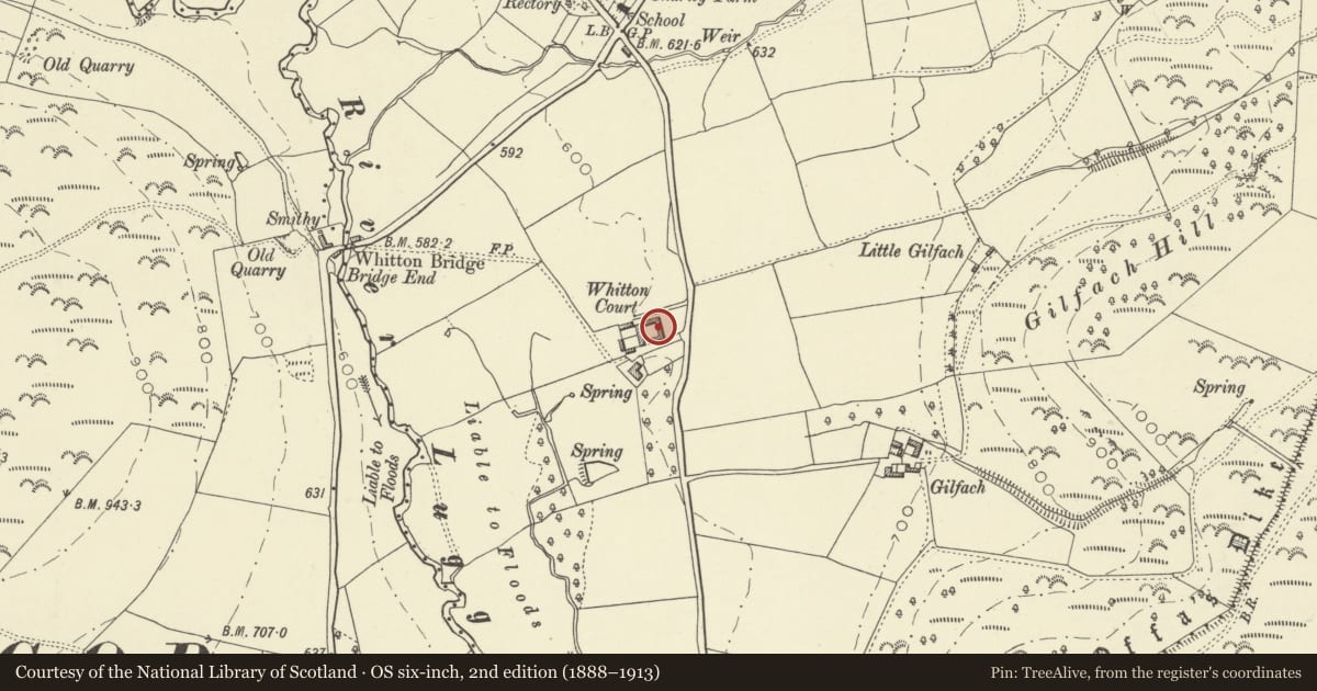 Ordnance Survey six-inch map, 2nd edition (1888–1913) covering the location of U-Plan Farm Range (A) at Whitton Court, Powys, with a pin at the register's coordinates
