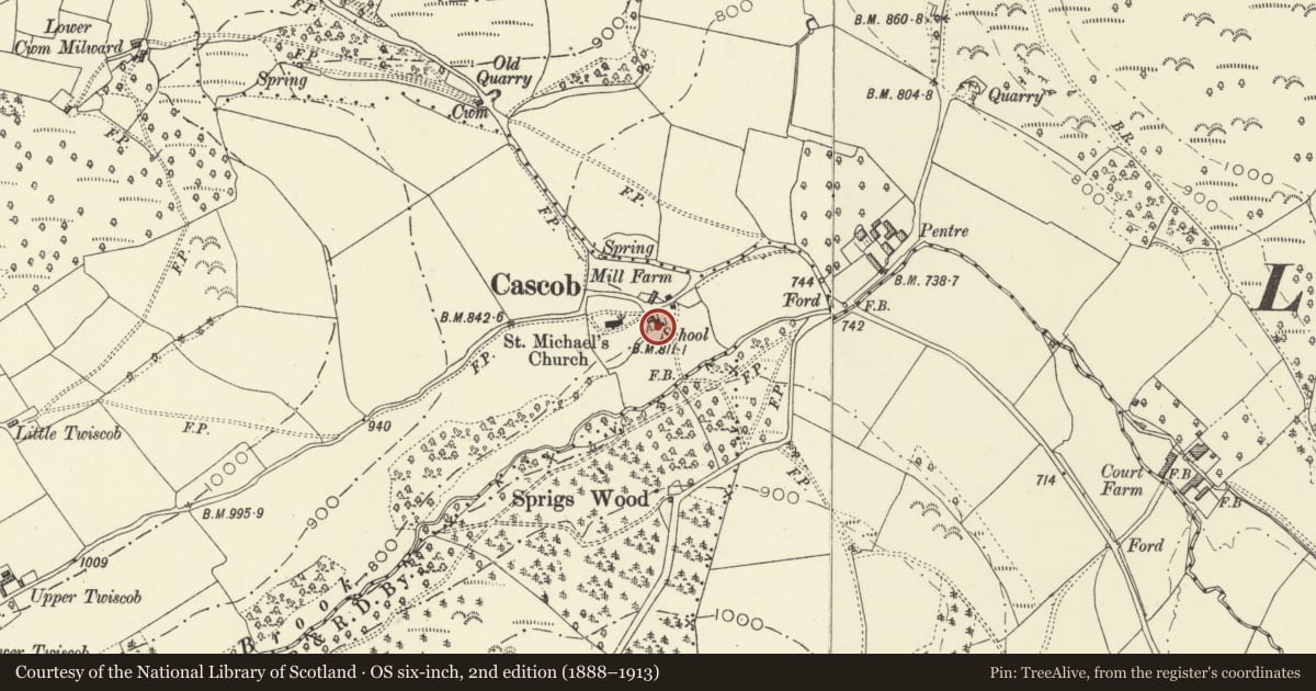 Ordnance Survey six-inch map, 2nd edition (1888–1913) covering the location of The Schoolhouse, Whitton, Powys, with a pin at the register's coordinates