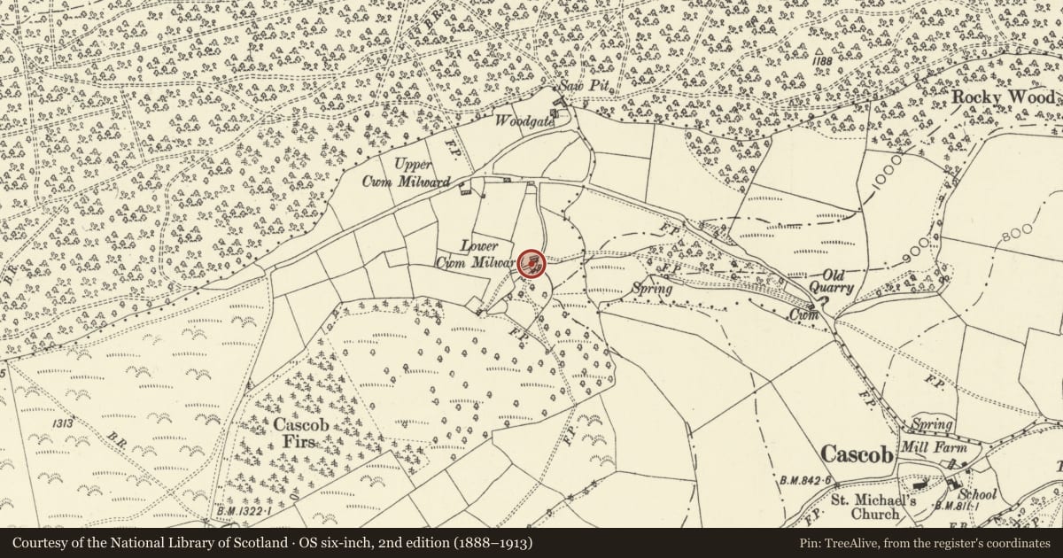 Ordnance Survey six-inch map, 2nd edition (1888–1913) covering the location of Cwmilward, Whitton, Powys, with a pin at the register's coordinates