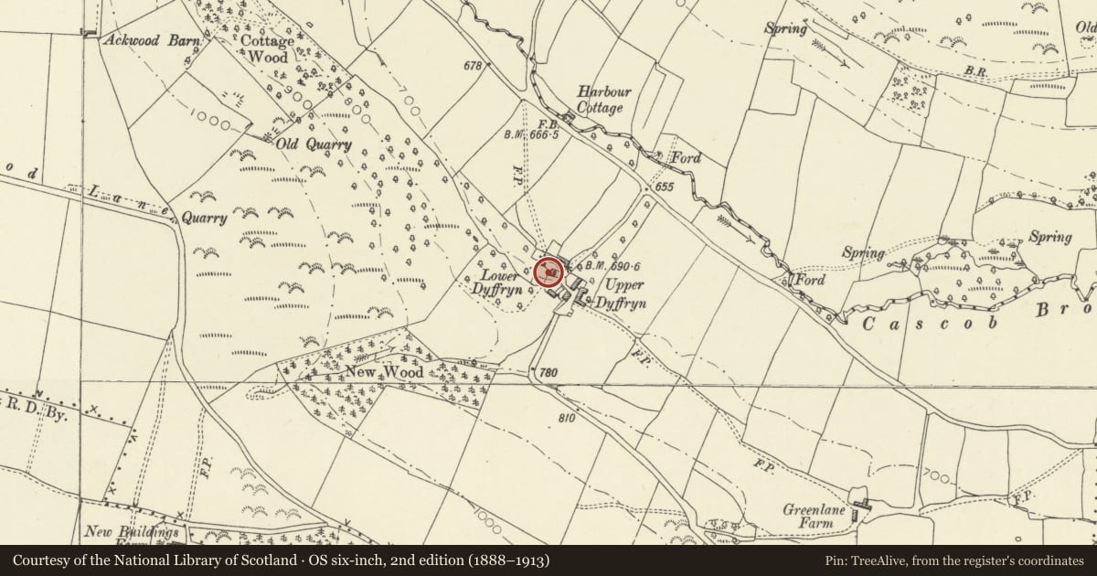 Ordnance Survey six-inch map, 2nd edition (1888–1913) covering the location of Lower Dyffryn, Whitton, Powys, with a pin at the register's coordinates