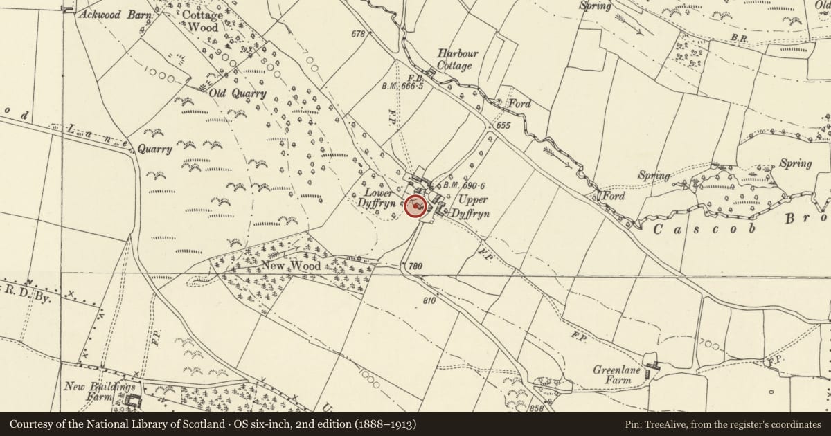 Ordnance Survey six-inch map, 2nd edition (1888–1913) covering the location of Upper Dyffryn, Whitton, Powys, with a pin at the register's coordinates