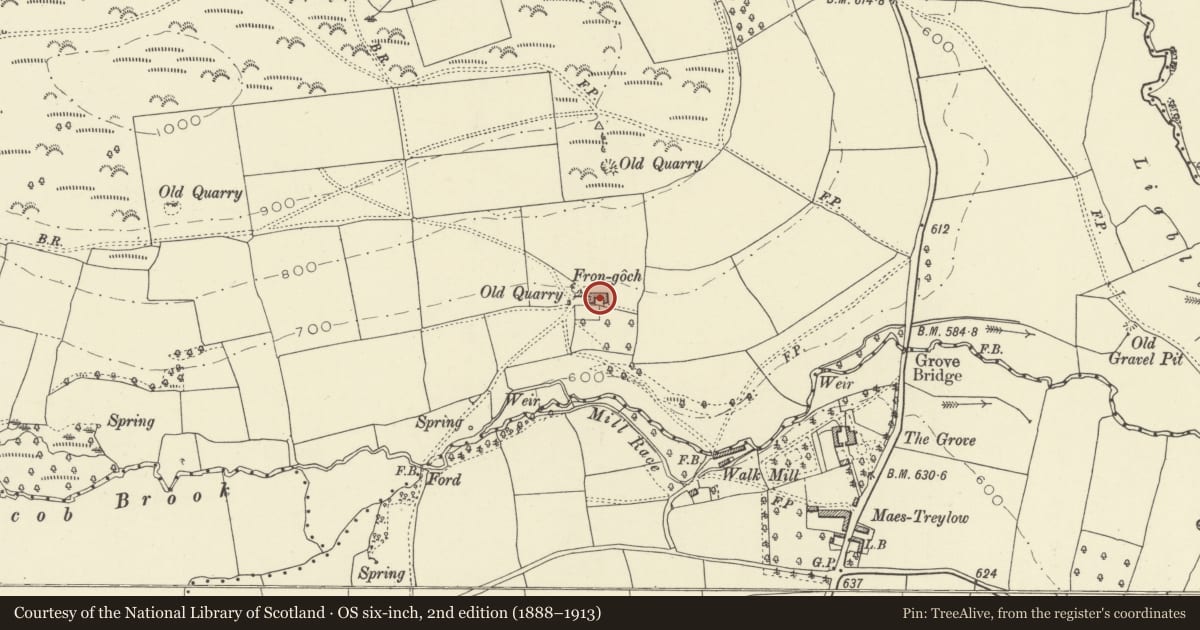 Ordnance Survey six-inch map, 2nd edition (1888–1913) covering the location of Fron-goch Farmhouse, Whitton, Powys, with a pin at the register's coordinates