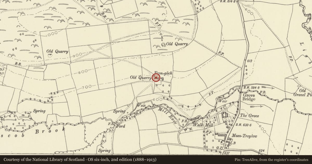 Ordnance Survey six-inch map, 2nd edition (1888–1913) covering the location of Farm Range attached to Fron-goch, Whitton, Powys, with a pin at the register's coordinates