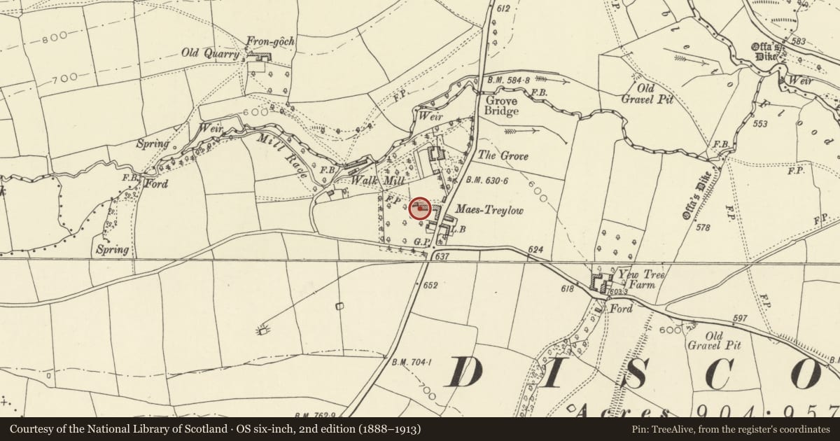 Ordnance Survey six-inch map, 2nd edition (1888–1913) covering the location of Maes Treylow, Whitton, Powys, with a pin at the register's coordinates