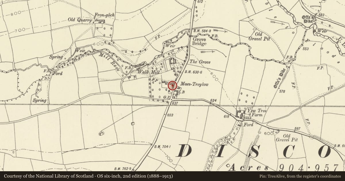 Ordnance Survey six-inch map, 2nd edition (1888–1913) covering the location of Farm Range at Maes Treylow, Whitton, Powys, with a pin at the register's coordinates