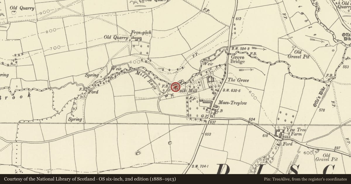 Ordnance Survey six-inch map, 2nd edition (1888–1913) covering the location of The Walkmill, Whitton, Powys, with a pin at the register's coordinates