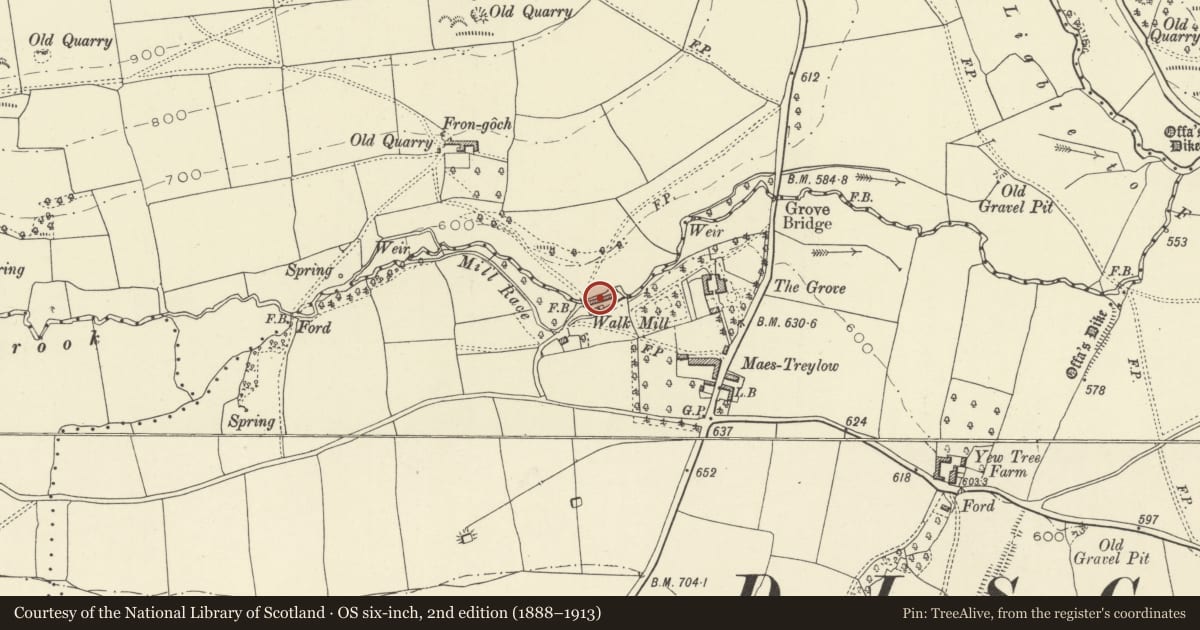 Ordnance Survey six-inch map, 2nd edition (1888–1913) covering the location of Outbuildings to the Walkmill, Whitton, Powys, with a pin at the register's coordinates