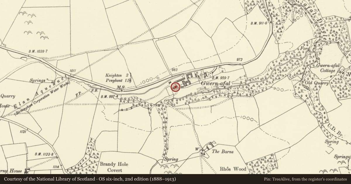 Ordnance Survey six-inch map, 2nd edition (1888–1913) covering the location of Gwernaffel Farmhouse, Whitton, Powys, with a pin at the register's coordinates