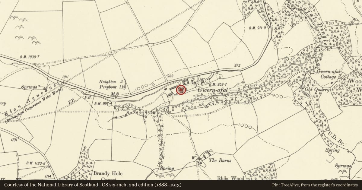 Ordnance Survey six-inch map, 2nd edition (1888–1913) covering the location of Farm Range at Gwernaffel Farm, Whitton, Powys, with a pin at the register's coordinates