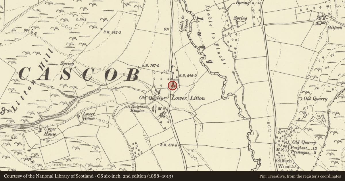 Ordnance Survey six-inch map, 2nd edition (1888–1913) covering the location of Litton Court, Whitton, Powys, with a pin at the register's coordinates
