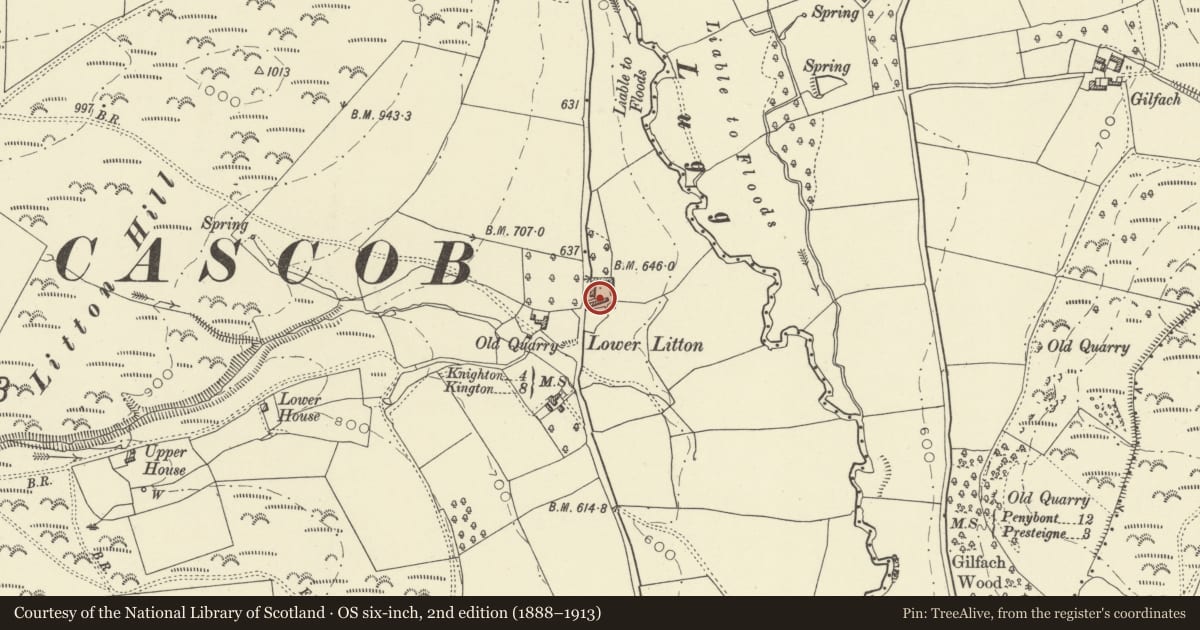 Ordnance Survey six-inch map, 2nd edition (1888–1913) covering the location of Farm Range adjoining Litton on E side, Whitton, Powys, with a pin at the register's coordinates