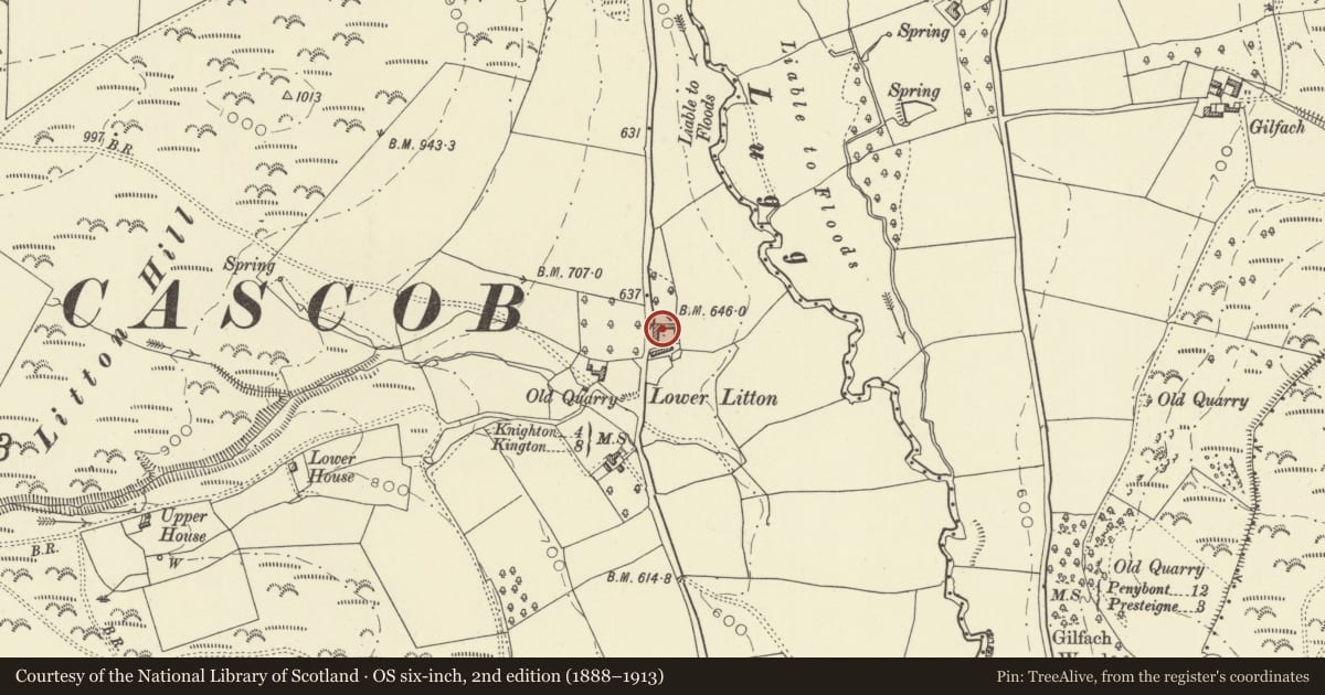 Ordnance Survey six-inch map, 2nd edition (1888–1913) covering the location of Farm Range to N of Litton Court, Whitton, Powys, with a pin at the register's coordinates