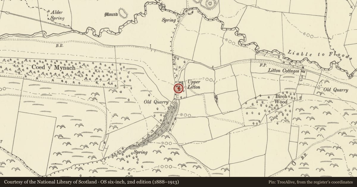 Ordnance Survey six-inch map, 2nd edition (1888–1913) covering the location of Upper Litton Farmhouse, Whitton, Powys, with a pin at the register's coordinates