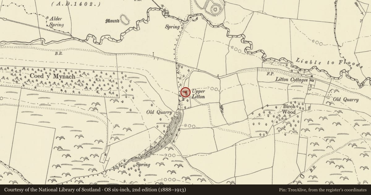 Ordnance Survey six-inch map, 2nd edition (1888–1913) covering the location of Outbuildings to NE of Upper Litton, Whitton, Powys, with a pin at the register's coordinates