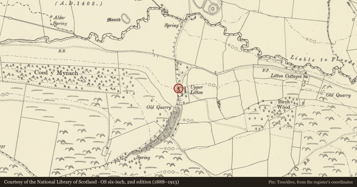 Ordnance Survey six-inch map, 2nd edition (1888–1913) covering the location of Outbuildings lying to the N & W of Upper Litton, Whitton, Powys, with a pin at the register's coordinates