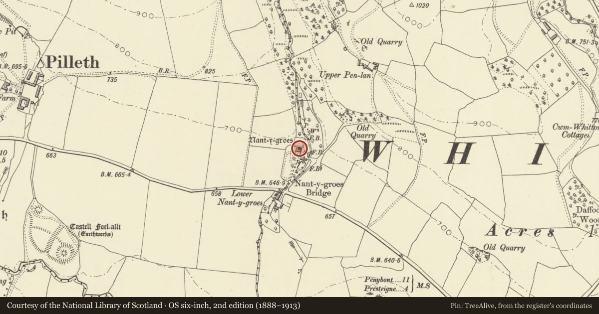 Ordnance Survey six-inch map, 2nd edition (1888–1913) covering the location of Nant-y-Groes, Whitton, Powys, with a pin at the register's coordinates