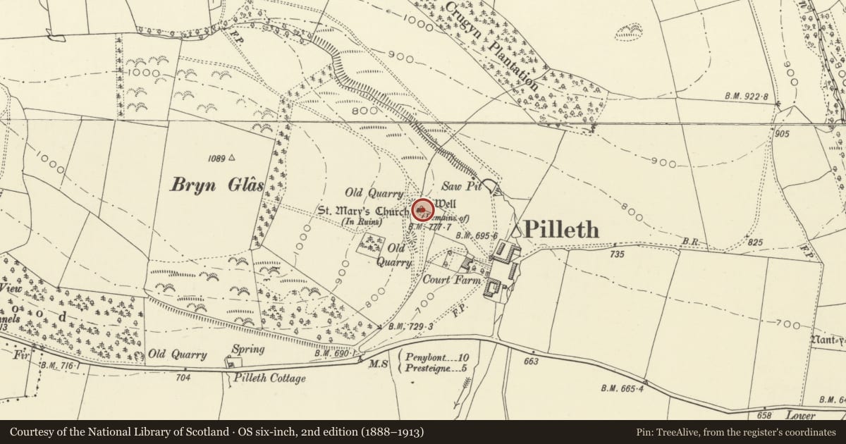 Ordnance Survey six-inch map, 2nd edition (1888–1913) covering the location of Church of St Mary, Whitton, Powys, with a pin at the register's coordinates